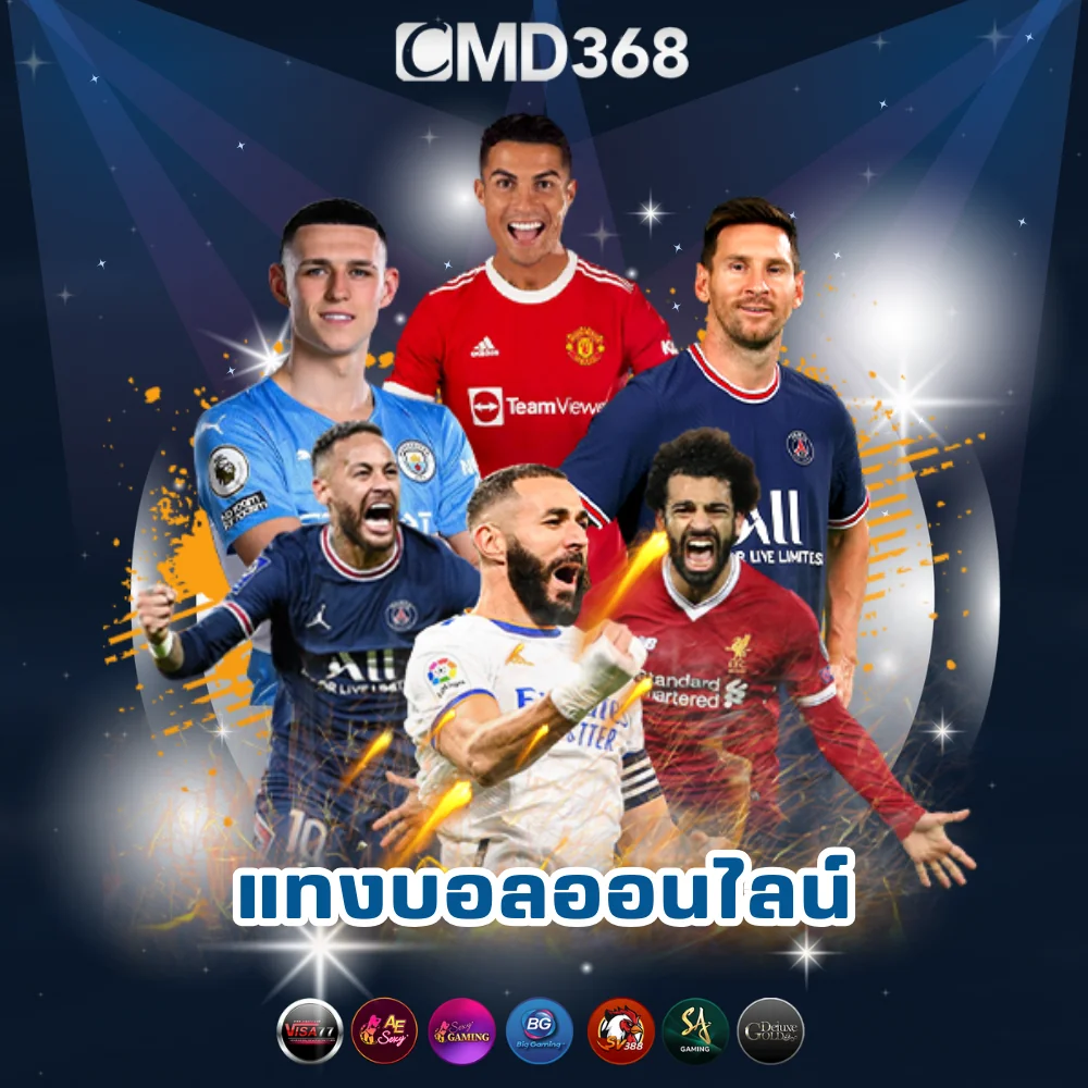 แทงบอลออนไลน์ราคาน้ำดี
